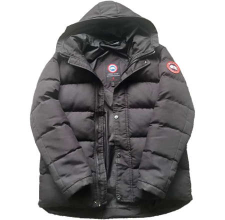 Canada Goose